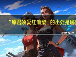 “愿君须爱红消梨”的出处是哪里