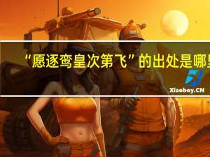 “愿逐鸾皇次第飞”的出处是哪里