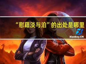 “慰藉淡与泊”的出处是哪里