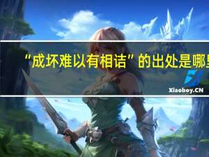 “成坏难以有相诘”的出处是哪里
