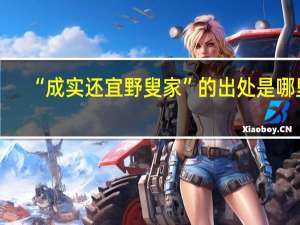 “成实还宜野叟家”的出处是哪里