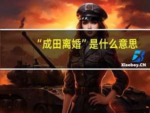 “成田离婚”是什么意思