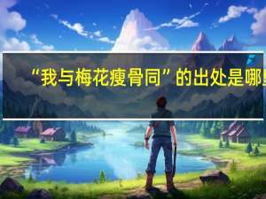 “我与梅花瘦骨同”的出处是哪里
