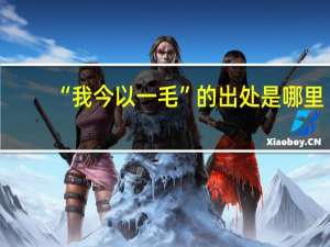 “我今以一毛”的出处是哪里