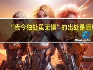 “我今獨處雖無懼”的出處是哪里