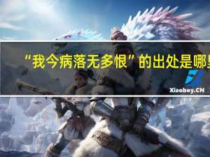 “我今病落无多恨”的出处是哪里