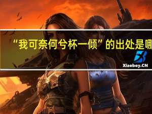 “我可奈何兮杯一倾”的出处是哪里