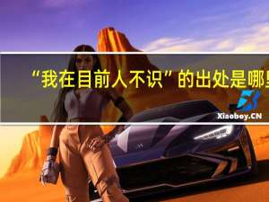 “我在目前人不识”的出处是哪里