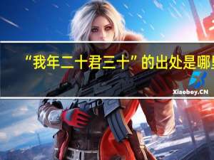 “我年二十君三十”的出处是哪里