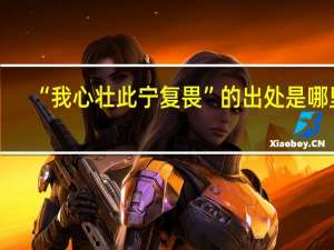 “我心壮此宁复畏”的出处是哪里