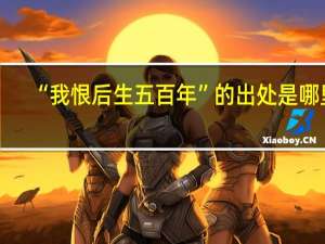 “我恨后生五百年”的出处是哪里