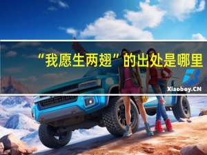 “我愿生两翅”的出处是哪里