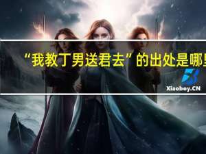 “我教丁男送君去”的出处是哪里