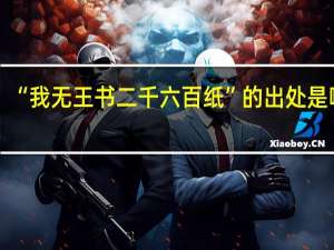 “我无王书二千六百纸”的出处是哪里