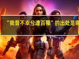 “我昔不幸兮遭百罹”的出处是哪里