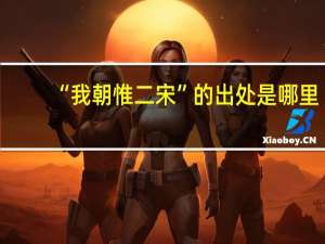 “我朝惟二宋”的出处是哪里