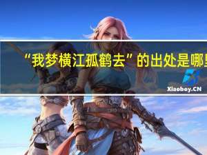 “我梦横江孤鹤去”的出处是哪里