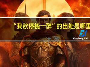 “我欲停桡一醉”的出处是哪里