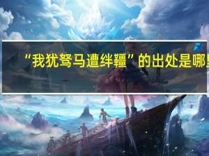 “我犹驽马遭绊韁”的出处是哪里