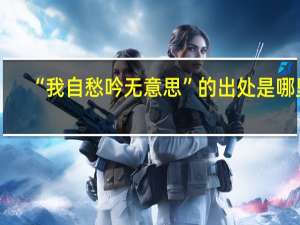 “我自愁吟无意思”的出处是哪里