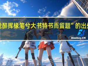“我醉挥椽笔兮大书特书而留题”的出处是哪里