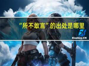 “所不敢言”的出处是哪里