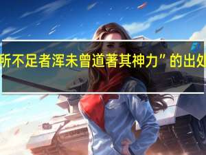 “所不足者浑未曾道著其神力”的出处是哪里