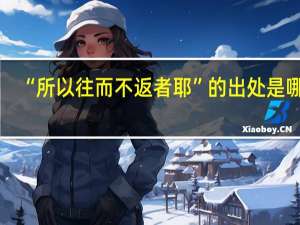 “所以往而不返者耶”的出处是哪里
