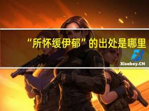 “所怀缓伊郁”的出处是哪里