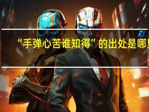 “手弹心苦谁知得”的出处是哪里