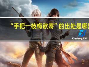 “手把一枝梅欲寄”的出处是哪里