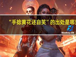 “手捻黄花还自笑”的出处是哪里