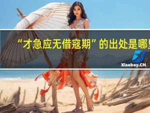 “才急应无借寇期”的出处是哪里