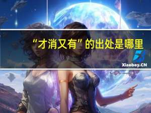 “才消又有”的出处是哪里