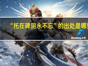 “托在碑阴永不忘”的出处是哪里