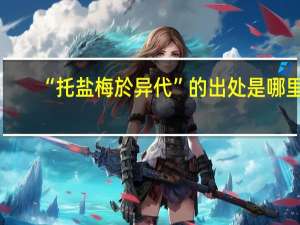“托盐梅於异代”的出处是哪里