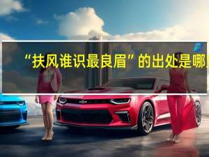 “扶风谁识最良眉”的出处是哪里