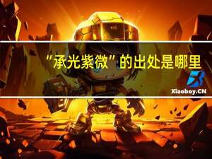 “承光紫微”的出处是哪里