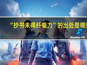 “抄书未得纤毫力”的出处是哪里