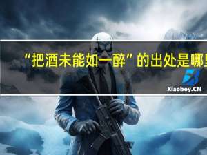 “把酒未能如一醉”的出处是哪里