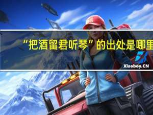 “把酒留君听琴”的出处是哪里