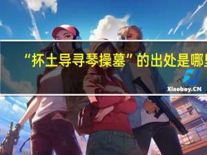 “抔土导寻琴操墓”的出处是哪里