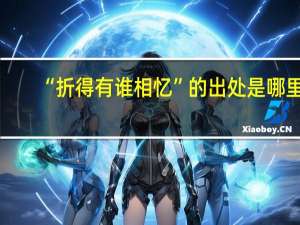 “折得有谁相忆”的出处是哪里