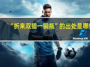 “折来双插一铜瓶”的出处是哪里