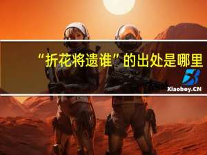 “折花将遗谁”的出处是哪里