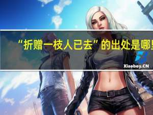 “折赠一枝人已去”的出处是哪里