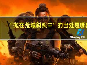 “抛在荒城斜照中”的出处是哪里