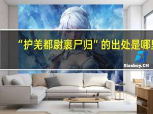 “护羌都尉裹尸归”的出处是哪里