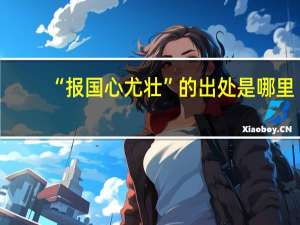 “报国心尤壮”的出处是哪里