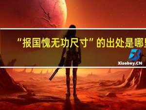 “报国愧无功尺寸”的出处是哪里